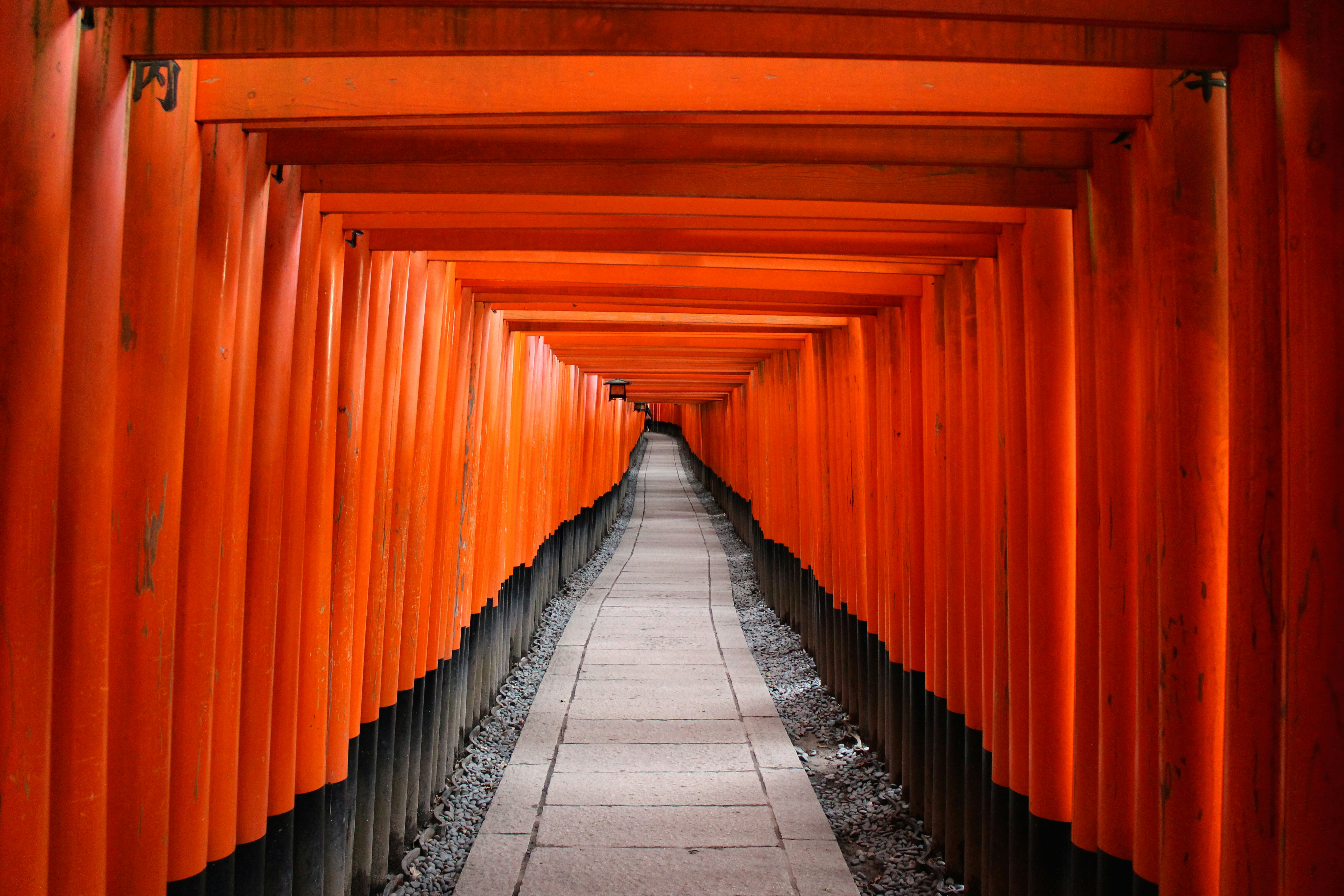 architectural photography of red wooden tori gate